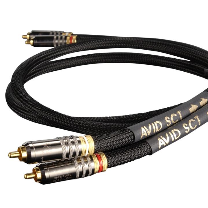 SCT Interconnect